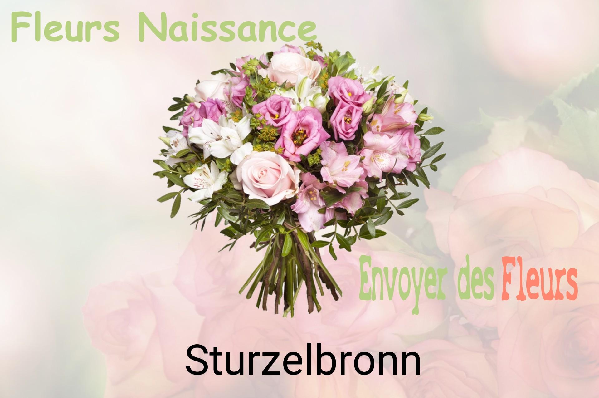 Bouquet de fleurs de naissance livré à Sturzelbronn